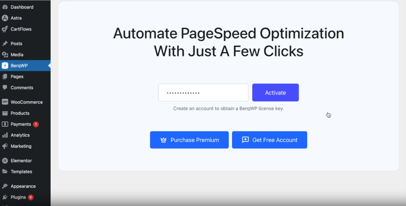 BerqWP Pro License Key Activation