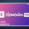 Elementor Pro License Activation